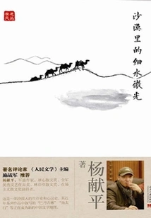 The Shimmer of Water in the Desert