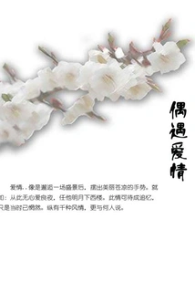 Encounter Love by Chance