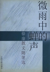 The Sound of Cicadas in the Light Rain