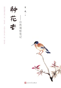 Plant Flowers: Notes on Nature Observations