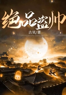 Excellent Thief Handsome