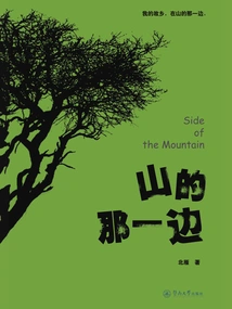 The Other Side of the Mountain