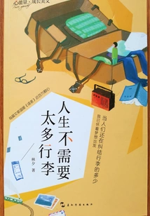 You Don't Need Too Much Baggage in Life