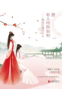 May Someone Treat You as Before: a Closer Look at the Man in Dream of Red Mansions