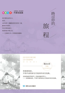 Passing by Your Journey