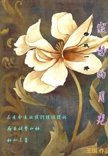 Lend Me a Handful of Silent Light