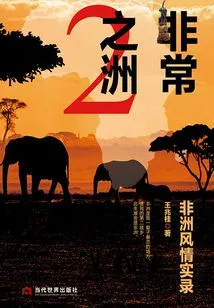 Extraordinary Continent 2: Record of African Customs