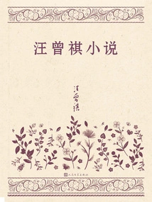 Wang Zengqi's Novels