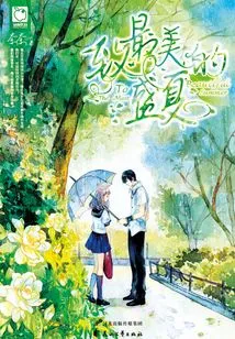 To the Most Beautiful Summer