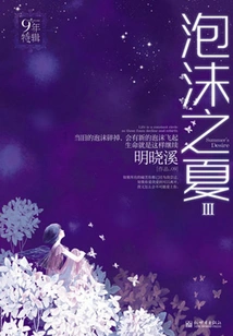 Bubble Summer 3 (revised Version)