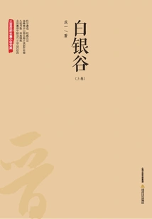 Silver Valley (volume 1)