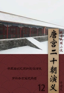 Novels of the Late Qing Dynasty and the Republic of China: Romance of the Tang Palace and Twenty Dynasties (12)