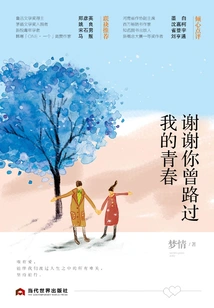 Thank You for Passing Through My Youth