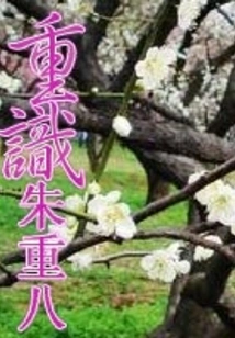 Re-recognizing Zhu Chongba