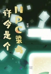 Xu Jin is an Npc Rookie