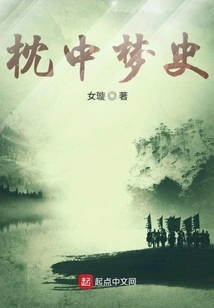 Dream History in the Pillow