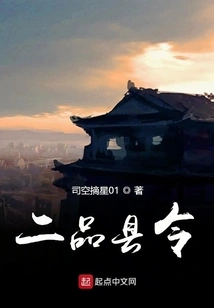 Second Grade County Magistrate