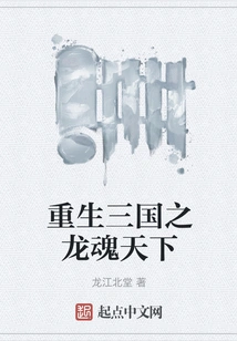 Rebirth of the Three Kingdoms: Dragon Soul World