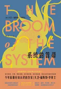 System Broom