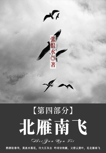 Wild Geese Flying to the South Part 4 (zhang Henshui's Classic Novel)