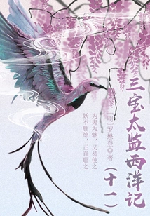 Ancient Chinese Fantasy Classic Novel: the Three Treasures Eunuch's Story of the West (11)