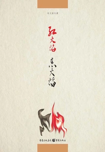 Red Flame Black Flame