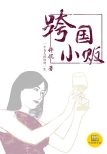 Transnational Hawker (good Chinese Novel)