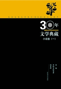 30 Years of Literary Collection Novel Volume (1)