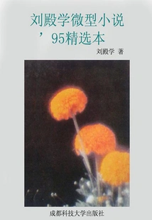 Liu Dianxue's 95 Selected Mini-novels