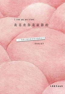 I Like That You Are Silent