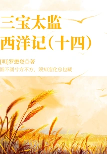 Ancient Chinese Fantasy Classic Novel: the Three Treasures Eunuch's Story of the West (14)