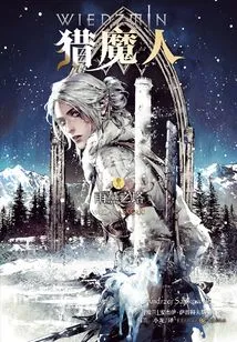 The Witcher Volume 6: Tower of Swifts