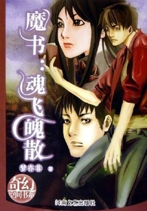 Magic Book: Souls Are Scattered