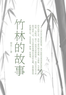 The Story of Bamboo Forest