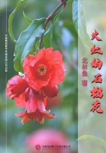 Fiery Red Pomegranate Flower