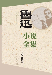 Complete Works of Lu Xun's Novels (illustrated by Ding Cong)