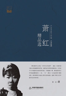 Xiao Hong's Boutique Selection