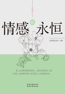 The Eternity of Emotions (readers' Boutique)