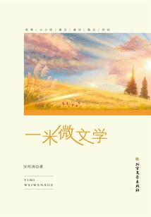 Yimi Micro Literature