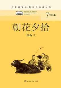 Picking up Flowers in the Morning and Evening