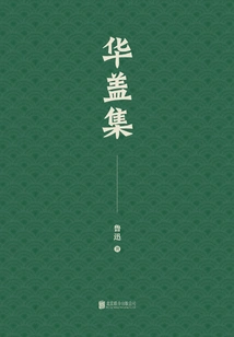 Youjian Library: Huagai Collection