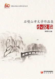 Shizuishan City Literary Works Collection: Novels Volume