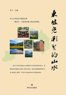 The Landscape in the Light and Shadow of Dongpo