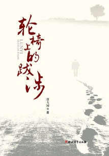 Trek in a Wheelchair