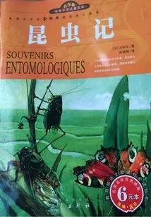 Insect Diary