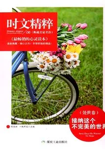 Accept This Imperfect World