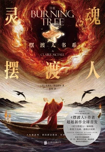 Soul Ferryman (the Ferryman Book Series)