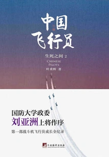 Chinese Pilot 2: between Life and Death