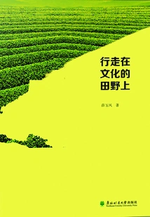 Walking in the Fields of Culture