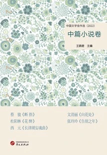 Selected Works of Chinese Literature: Novels Volume (2022)